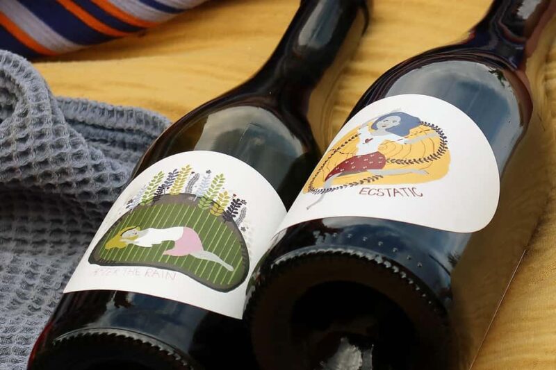 Bratislava: Vineyard Walk and Wine Picnic with Winemaker - Comparing With Similar Experiences