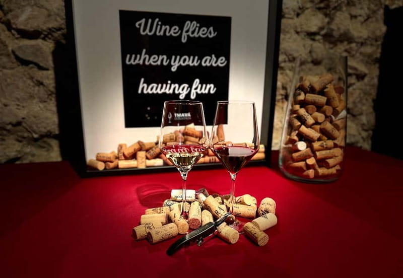 Bratislava: Wine Tasting Experience in the Dark - The Journey into Darkness and Sensory Awakening