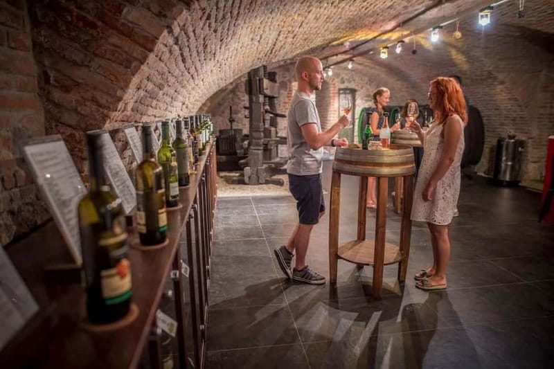Bratislava: Wine Tasting with Sommelier - Discover Slovak Wine in Bratislava’s Historic Cellar