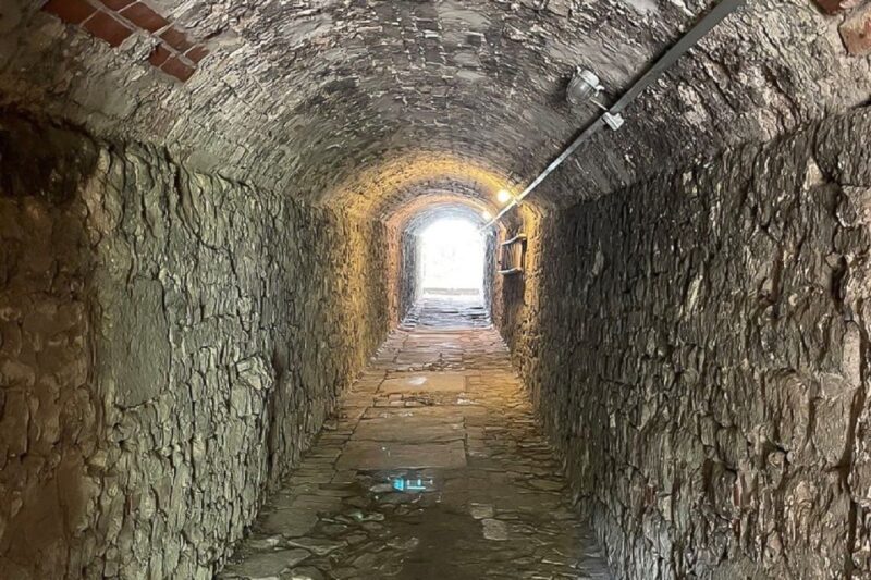 Braunschweig: Von Vampiren und Spukgestalten - Exploring the Hidden Medieval Cemetery Beneath the Streets