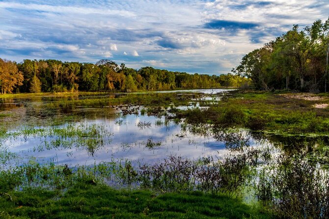 Brazos Bend Wildlife and Nature Tour - The Tour’s Focus on Texas Wildlife at Brazos Bend State Park