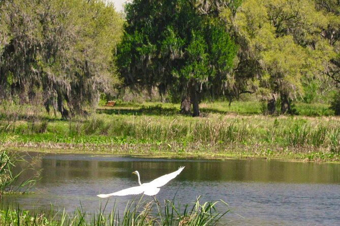 Brazos Bend Wildlife and Nature Tour - Why Choose This Wildlife and Nature Tour?