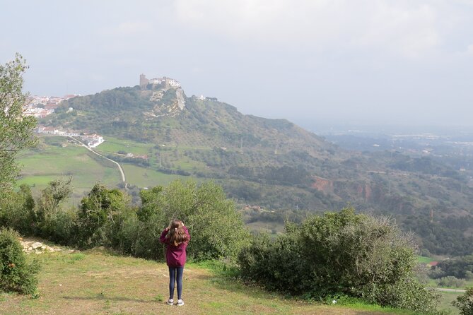 Bread, Wine&Cheese, The Natural Taste - Scenic Drive to a Family Vineyard in the Valley