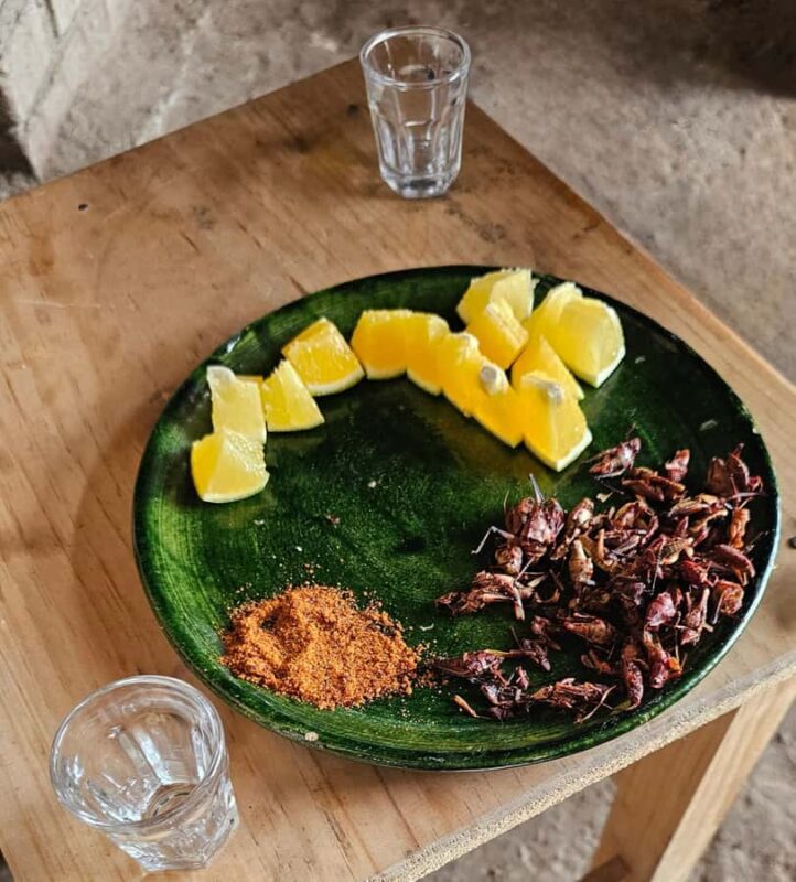 Breakfast in Tlacolula; Ancestral and industrial mezcal distillery - Final Thoughts on the Oaxaca Mezcal Tour