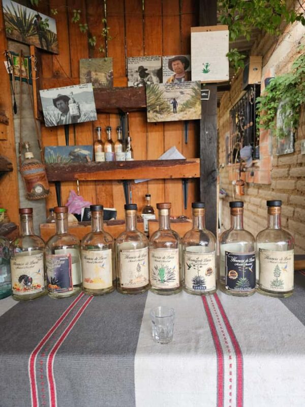 Breakfast in Tlacolula; Ancestral and industrial mezcal distillery - Frequently Asked Questions