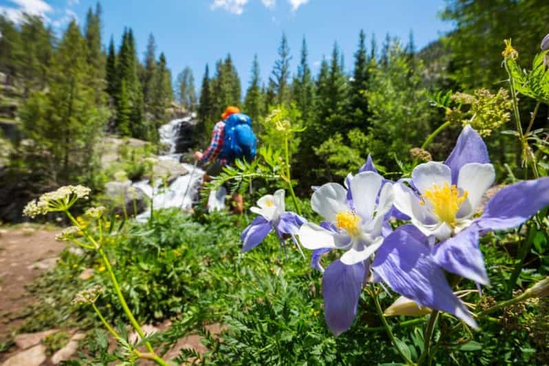 Breckenridge, CO: Half-Day Guided Scenic Hike - The Value of the Tour