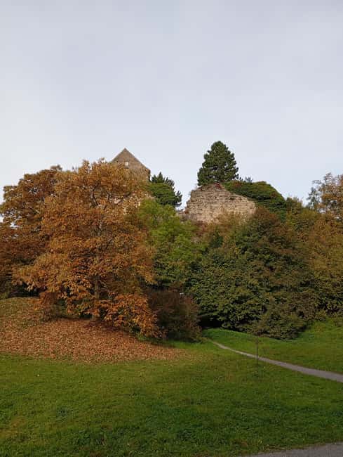 Bregenz: Hiking - Key Points