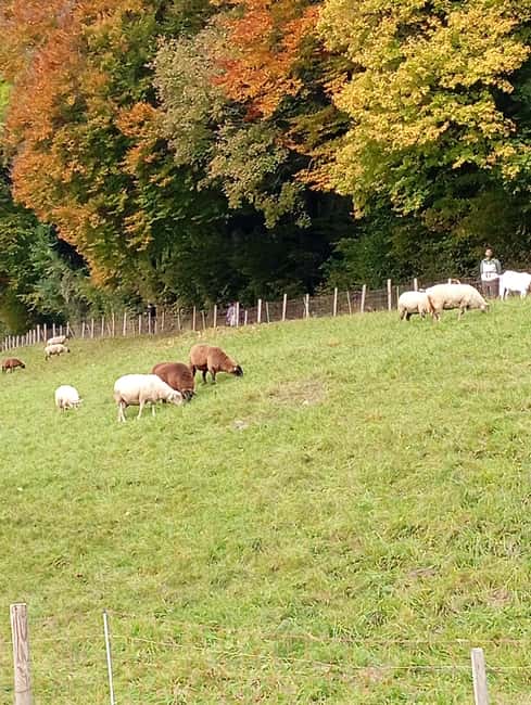 Bregenz: Hiking - Flexibility and Cancellation Policy