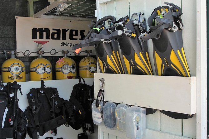 BRELA Bikini Dive *Try SCUBA DIVING* - The All-Inclusive Equipment and Instruction