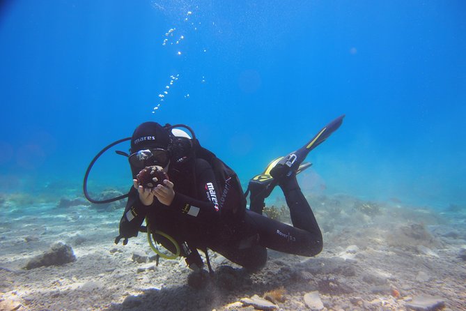 BRELA Bikini Dive *Try SCUBA DIVING* - What Makes This Tour Stand Out in Brela?