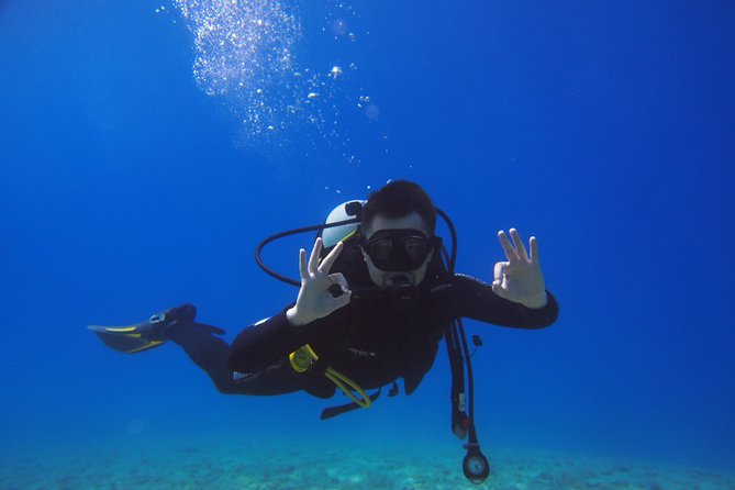 BRELA Bikini Dive *Try SCUBA DIVING* - Navigating the Logistics and Practicalities