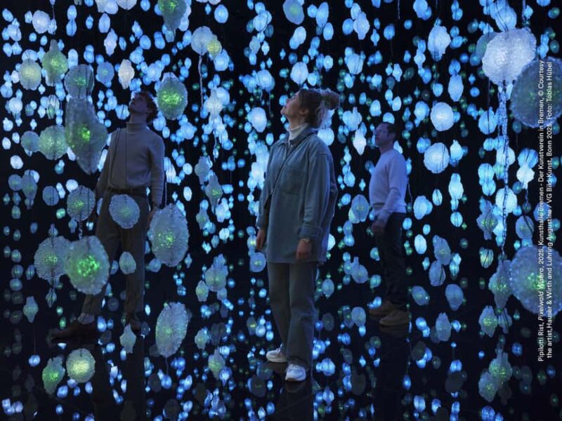 Bremen: Kunsthalle Bremen admission ticket - Media Art and Contemporary Installations