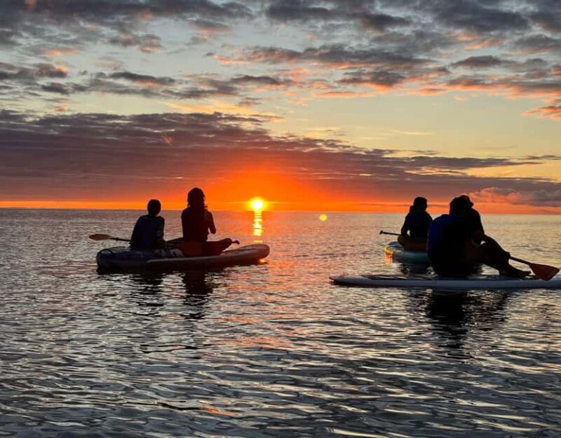 Brentwood Bay: Bioluminescence & Sunset Paddleboard Tour - Key Points