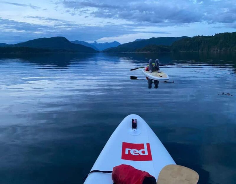 Brentwood Bay: Bioluminescence & Sunset Paddleboard Tour - What Makes the Sunset Paddleboard Experience Special