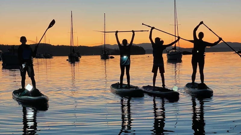 Brentwood Bay: Bioluminescence Tour - The Magic of Bioluminescent Organisms