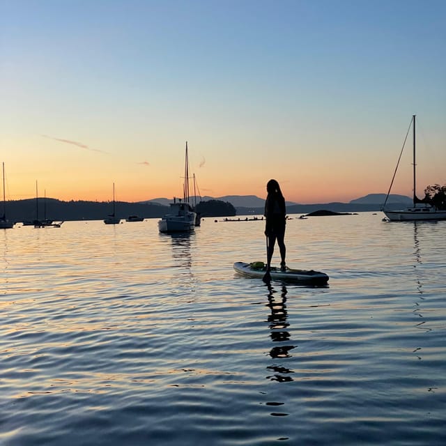 Brentwood Bay: Bioluminescence Tour - The Experience Provider: South Island SUP