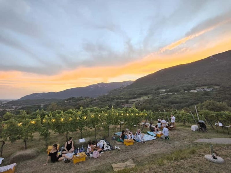 Brescia: Day trip to Botticino, new historical winetasting - Key Points