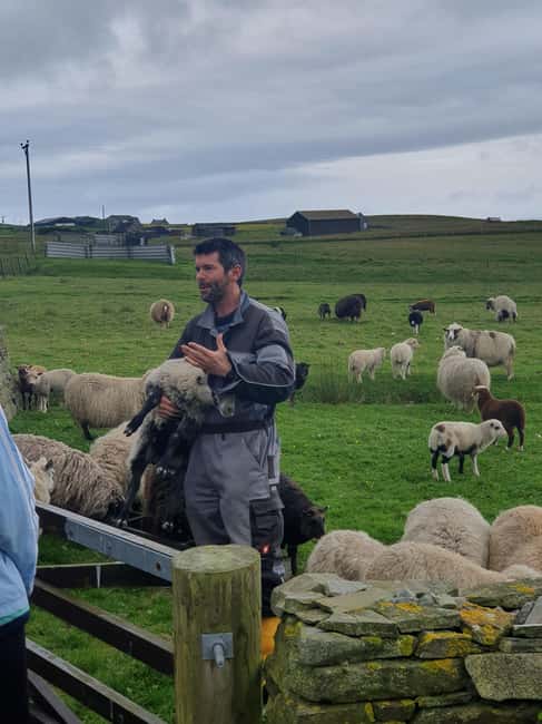 Bressay Explorer Crofting & Island Life Tour - Crossing Lerwick Harbour to Bressay by Ferry