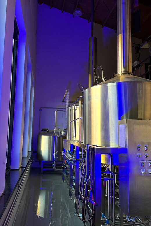 Breugem Meeting Point: Beer tasting - Key Points