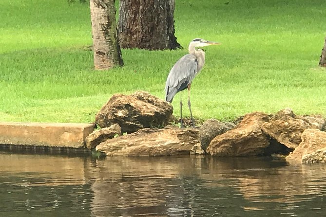Brevard County Tours, dolphin and manatee tours in Palm Bay, FL - Accessibility and Group Size for a Personal Experience