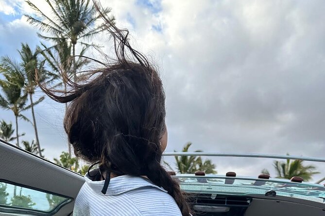 Brewery and Beach Cruise in a Vintage VW Bus - The Experience in a Nutshell: Pros and Cons