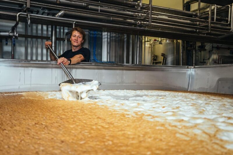 Brewery tour with tasting - Beer Tasting of Four Unique Varieties