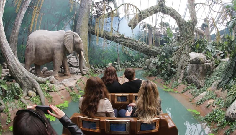 Bridges Cruise with World of Discoveries or Sunset Option - The Old City and Bridge Architecture Up Close