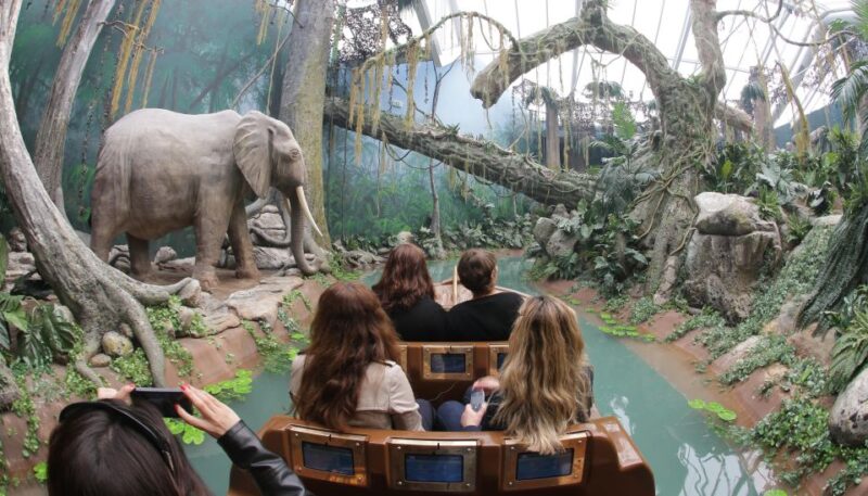 Bridges Cruise with World of Discoveries or Sunset Option - Comparing This Tour to Similar Experiences