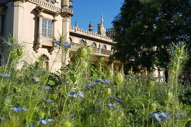 Brighton and White Cliffs private tour from London - Transportation and Personalization