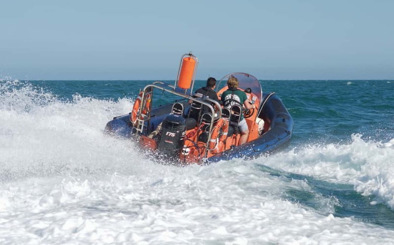 Brighton: Powerboat Ride - Brighton: Powerboat Ride – An Adrenaline-Fueled Coastal Adventure