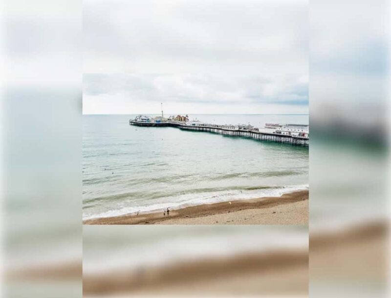 Brighton: Zip Wire Experience Ticket and Transfer - Key Points