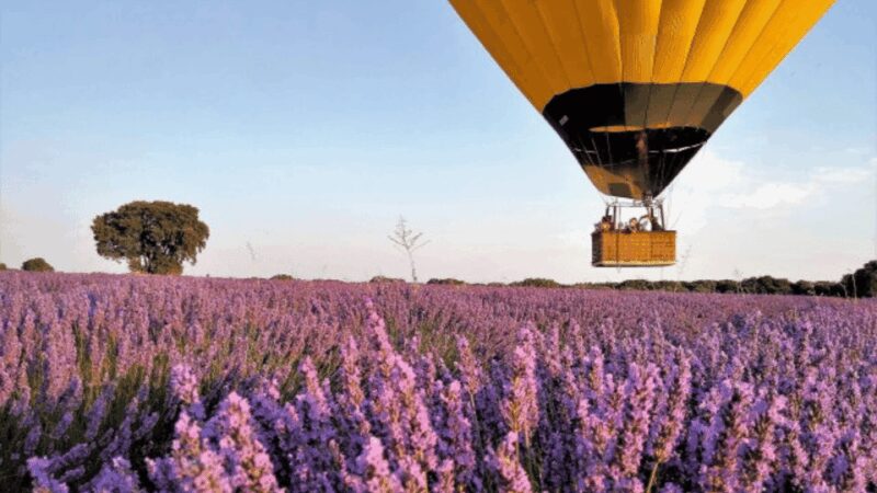 Brihuega: Balloon Flight Above Lavender Fields - Discover the Unique Charm of Brihuegas Lavender Fields from Above