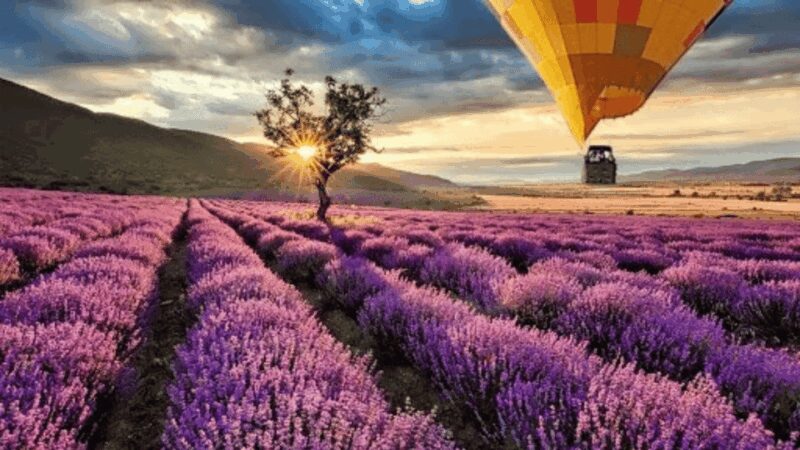 Brihuega: Balloon Flight Above Lavender Fields - Key Points