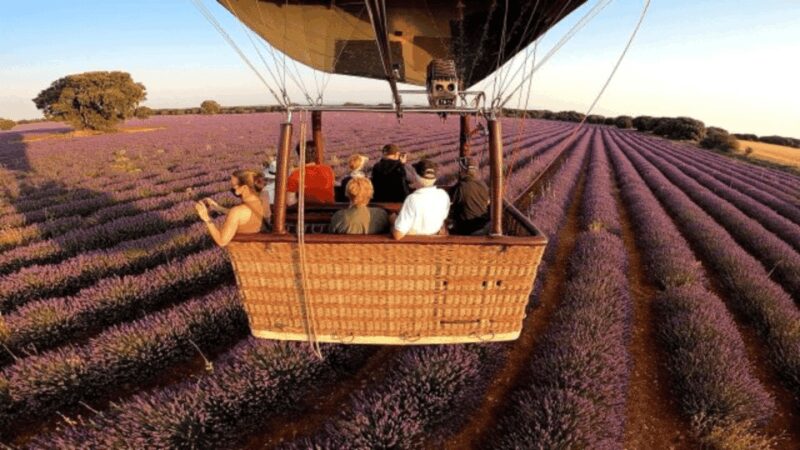 Brihuega: Balloon Flight Above Lavender Fields - Soaring Over the Vibrant Lavender Fields of Brihuega