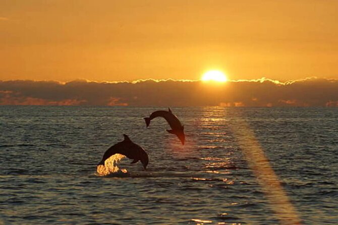 Brijuni Dolphin and Sunset Boat Tour from Pula - What Sets This Tour Apart from Similar Experiences