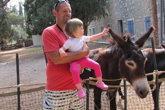 Brijuni National Park Boat Excursion from Pula. With a visit to the island - Key Points