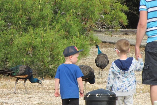 Brijuni National Park Boat Excursion from Pula. With a visit to the island - Limitations and Considerations