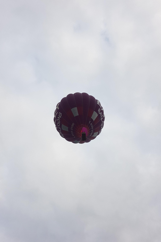 Bristol: Classic Walking Tour - Logistics and Booking Flexibility