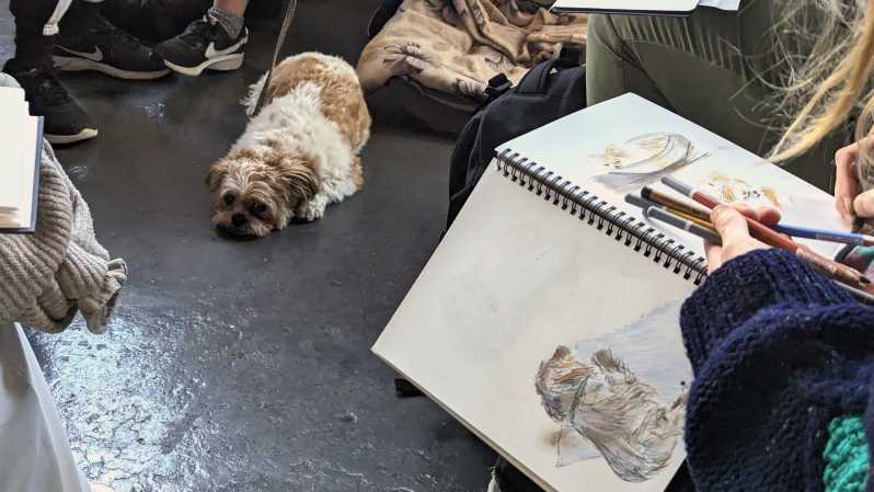 Bristol: Dog Life Drawing led by local Artist Cai Burton - What Is Included in the Workshop