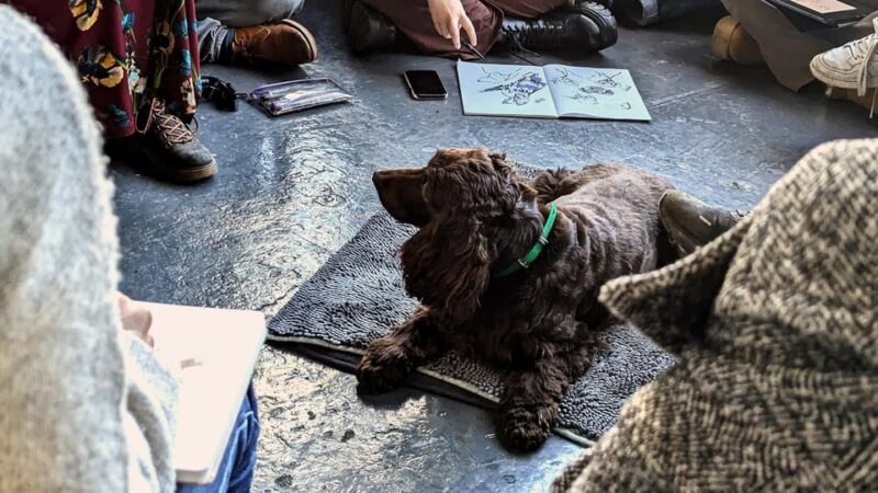 Bristol: Dog Life Drawing led by local Artist Cai Burton - Accessibility and Practical Info