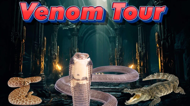 Bristol: Venomous Snake Tour w/ Guide & Croc Photo - Encounter with the Most Dangerous Snakes in the Collection