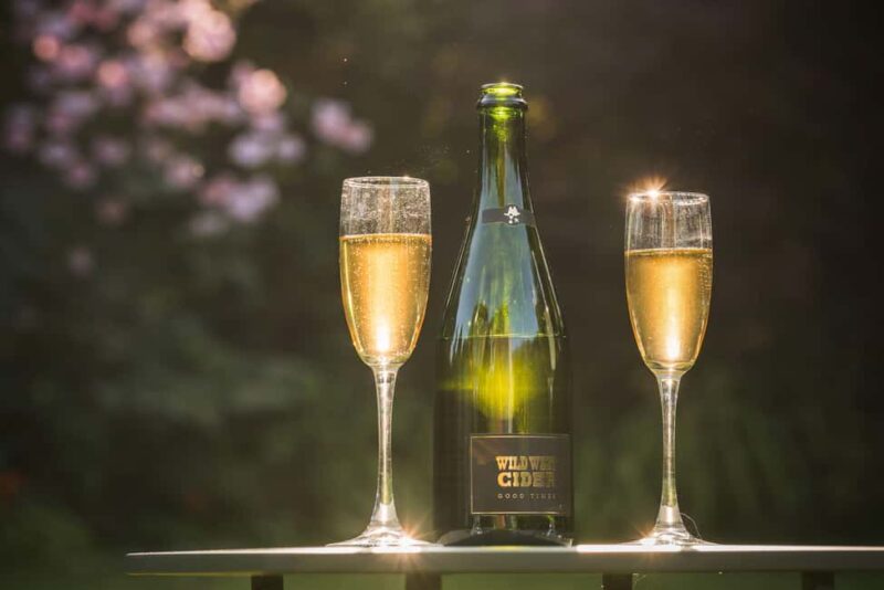 Bristol: Wine and Cider Tour with Tastings - Exploring the Organic Vineyard Near Bristol