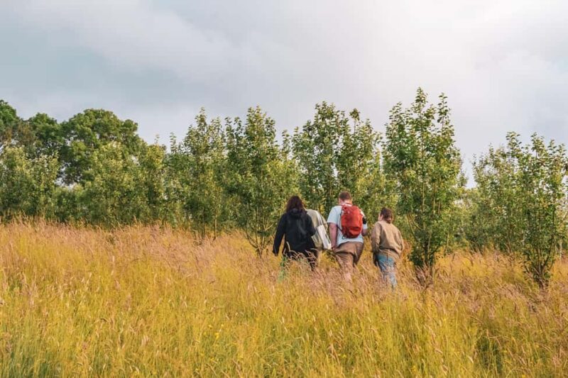 Bristol: Wine and Cider Tour with Tastings - Practicalities and Accessibility on the Farm