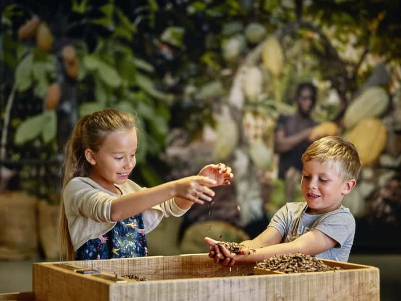 Broc: Entry ticket to the Maison Cailler chocolate factory - Tasting a Variety of Unique Flavors