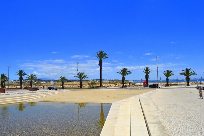 Brodie's Historical and Fun Lagos Walking Tour - The Guide’s Style and Local Tips