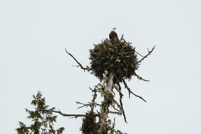 Broken Group Islands Day Tour - All-Inclusive Equipment and Practical Details