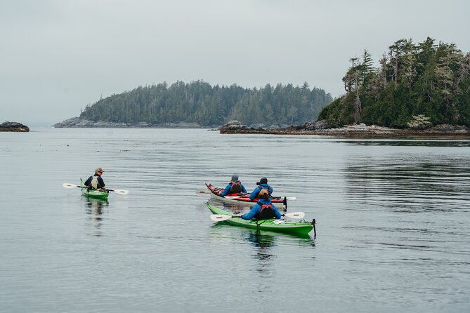 Broken Group Islands Day Tour - The Experience of the Guides and the Group Size