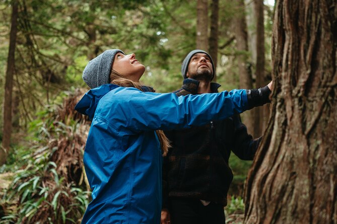 Broken Group Islands Day Tour - Food and Refreshments: Picnic Lunch on a Sandy Beach