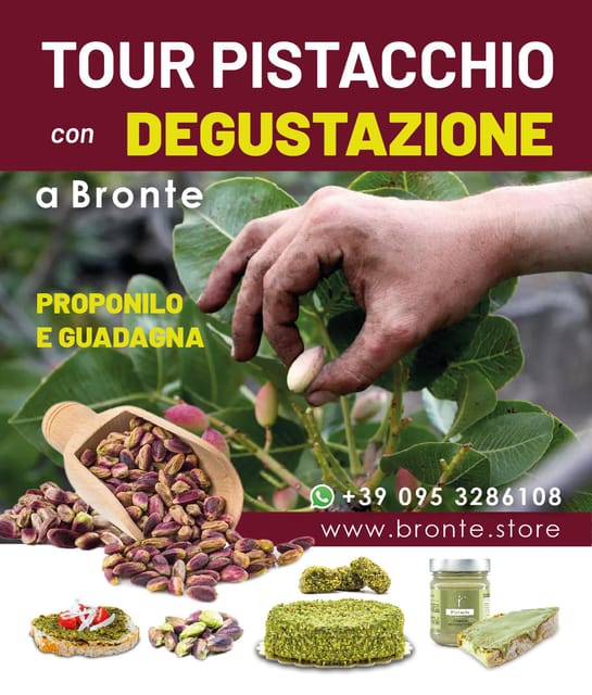 Bronte: Tour e degustazione nelle piantagioni di pistacchi - Tasting Pistachio Delights Paired with Local Wine