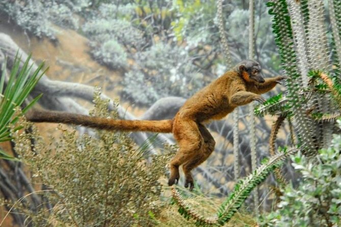 Bronx Zoo Admission Ticket - Comprehensive Bronx Zoo Experience for $43.95